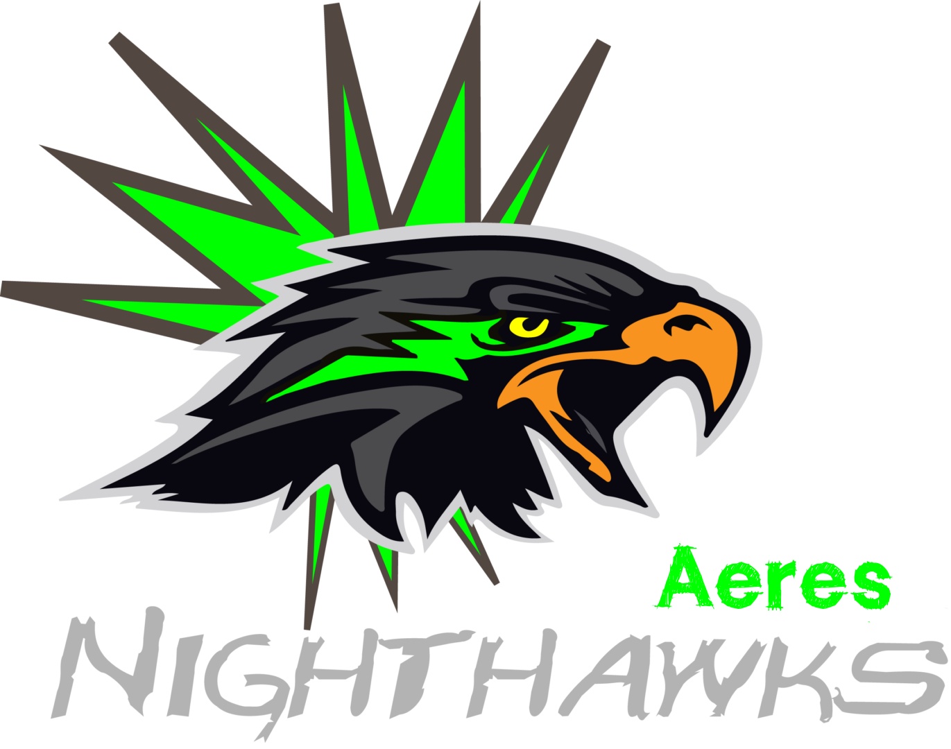 NIGHTSHAWKS-1371x1080 NIGHTSHAWKS-1371x1080